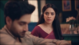 Jagadhatri - 3rd February 2026